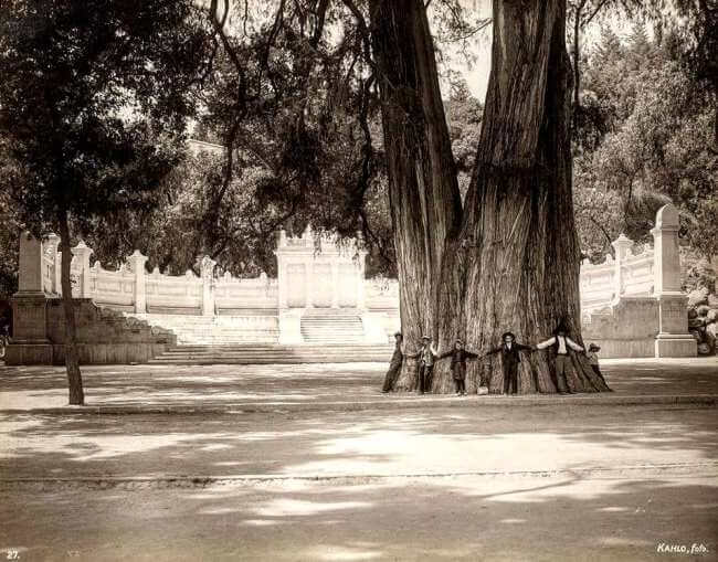 Lugares secretos del Bosque de Chapultepec