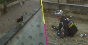 Así fue la caída de Remco Evenepoel por ‘culpa’ de un perrito en el Giro de Italia