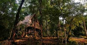 Quedarse en una cabaña en medio de la Selva Lacandona