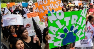 Fotos y videos de la marcha por los derechos de los animales en CDMX