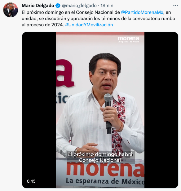 mario-delgado-morena-anuncio-consejo-nacional