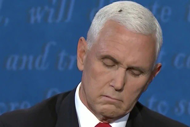 mike pence biden mosca2