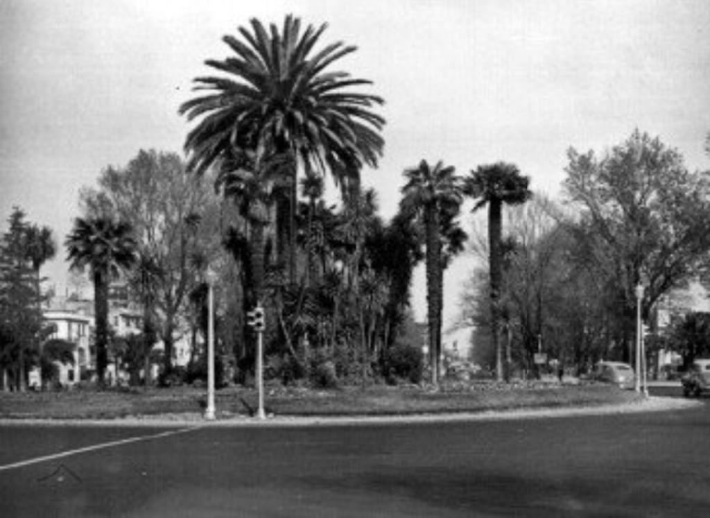 Glorieta de la Palma