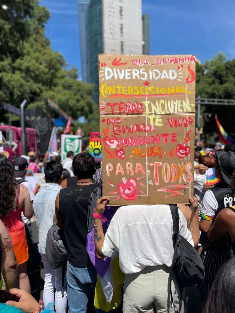 Pancartas de la Marcha LGBT.