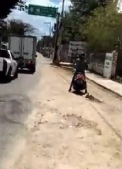 Graban a un sujeto que arrastra a su perro con la moto en calles de Yucatán