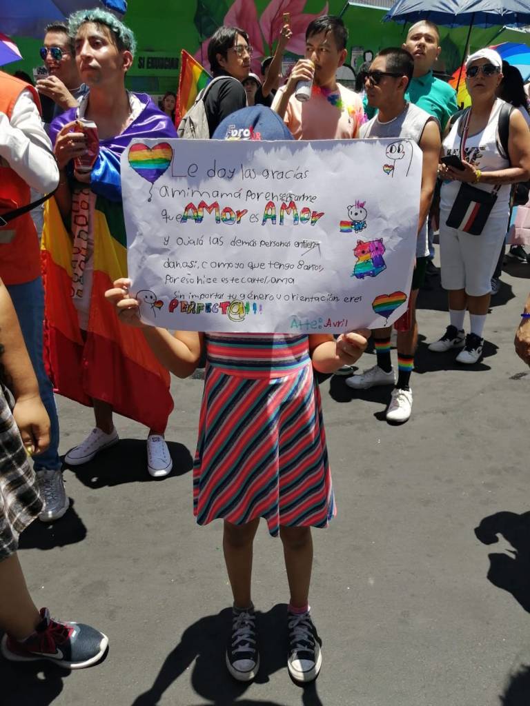 Pancartas de la Marcha LGBT.