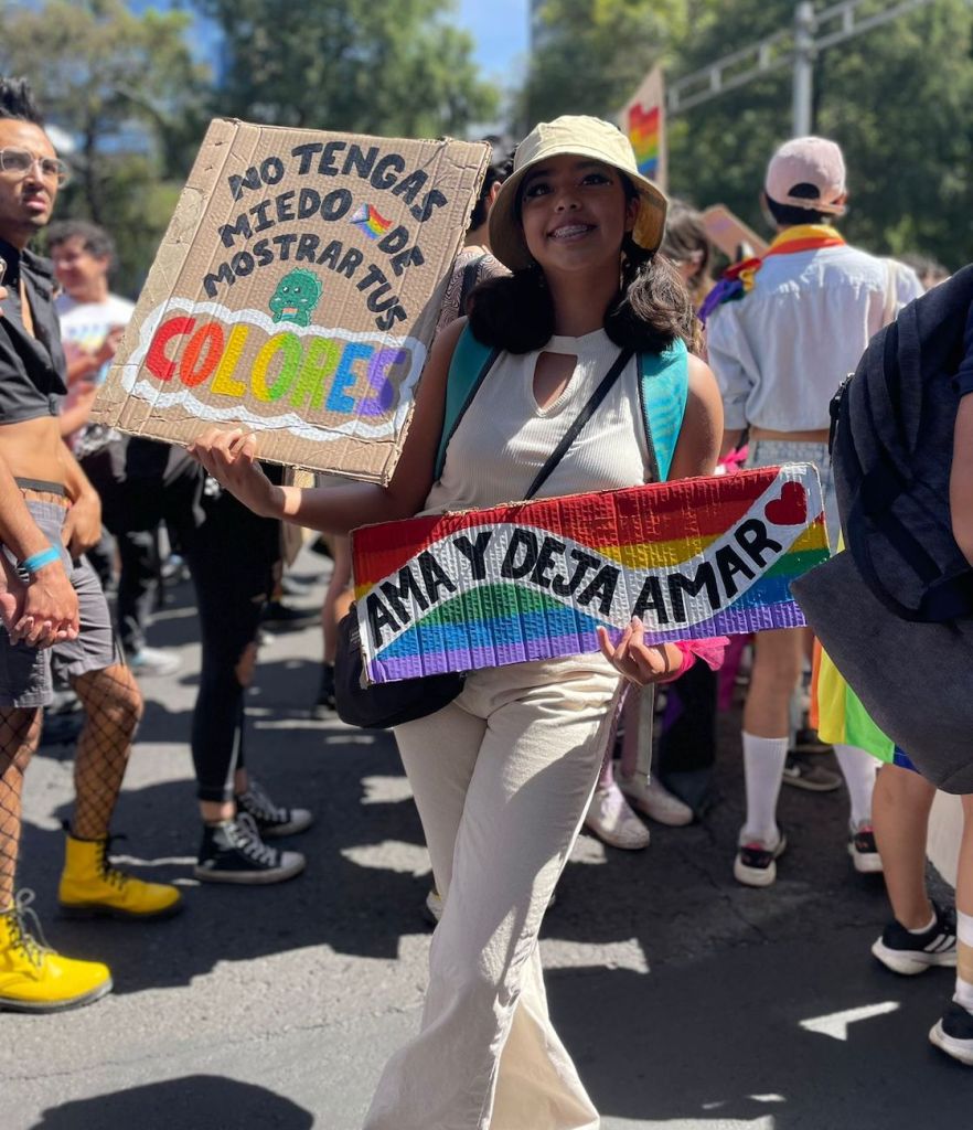 Pancartas de la Marcha LGBT.