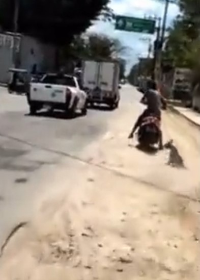 Graban a un sujeto que arrastra a su perro con la moto en calles de Yucatán