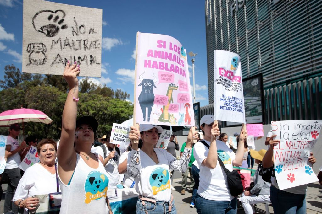 Fotos y videos de la marcha por los derechos de los animales en CDMX 