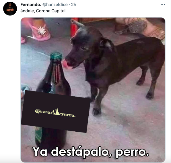 Impaciencia nivel: Los mejores memes para esperar el cartel del Corona Capital 2023