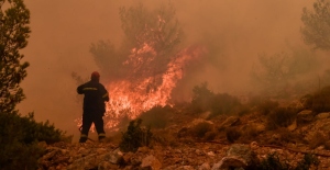 Incendios forestales consumen zonas de Grecia, Italia y Algeria