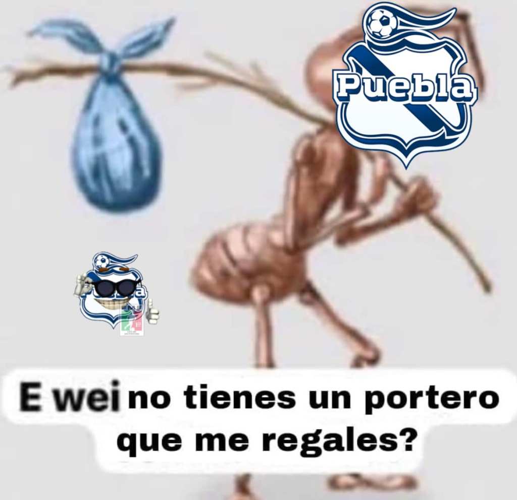 Liga MX memes jornada 2