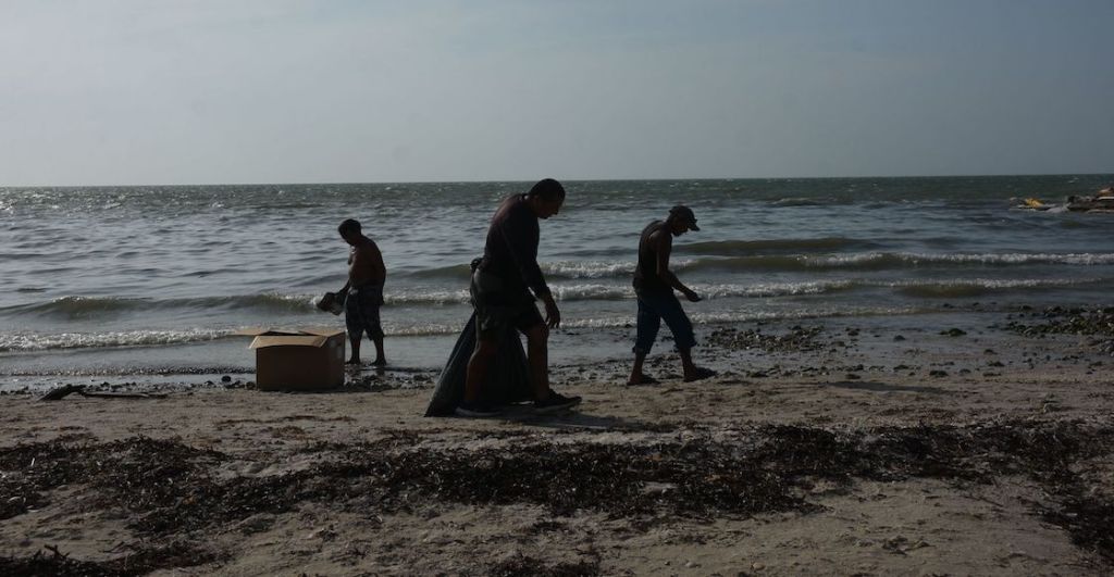 Fotos del derrame de Pemex en Ek Balam que llegó a playas de Campeche