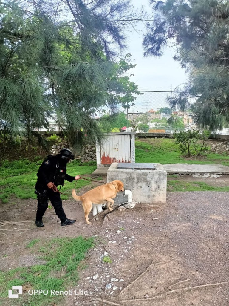 Acusan montaje de militantes del PRI por granadas halladas en sede de Guerrero