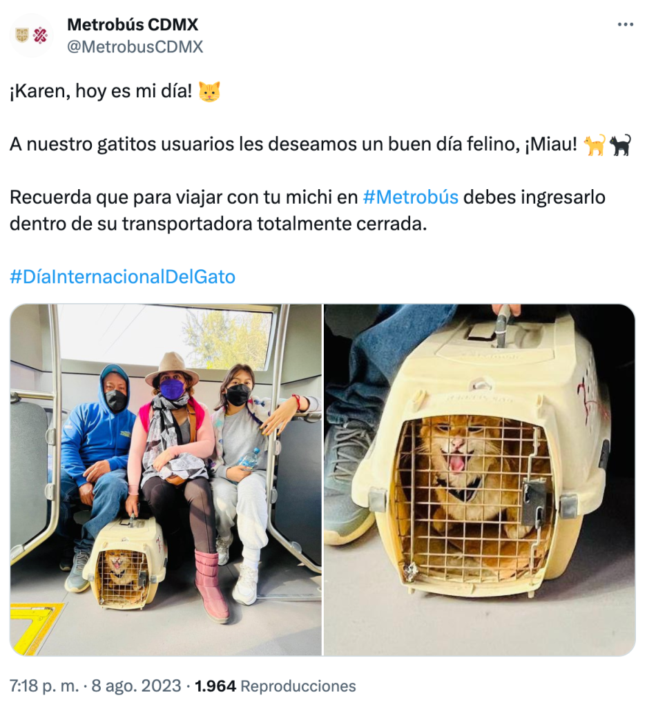 Y a todo esto... ¿puedo entrar con mi mascota al Metro o Metrobús? 