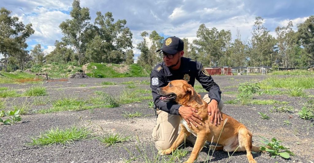 La ciudad de perritos y gatos dentro de CDMX: Uno de los refugios contra el maltrato animal