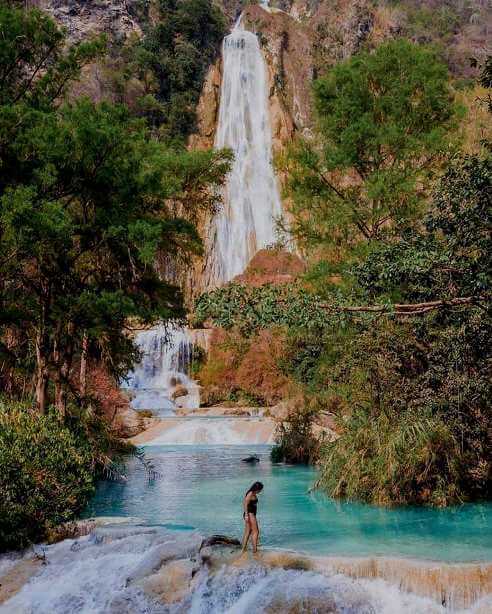 La enigmática Isla de las Orquídeas en Chiapas