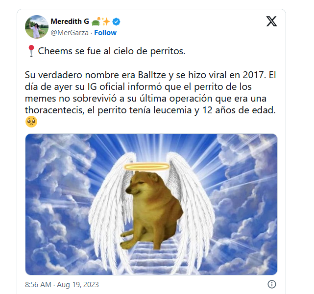 Murió Cheems y lo despiden con emotivos memes