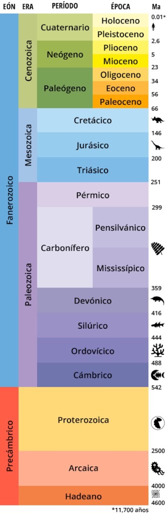 Excavaciones en el AIFA descubrieron un huevo fósil de flamenco, el primero de América