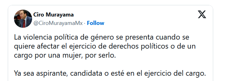 Salinas Pliego y Citlalli Hernández: ¿Puede el INE ordenar borrar tuits a un ciudadano por violencia política de género?