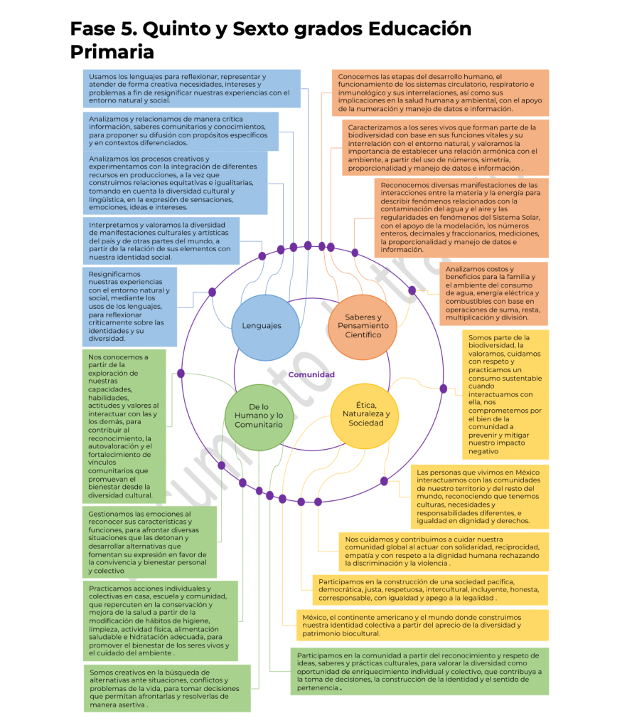 plan-estudios-sep-5-6-primaria