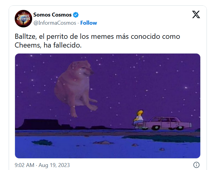 Murió Cheems y lo despiden con emotivos memes