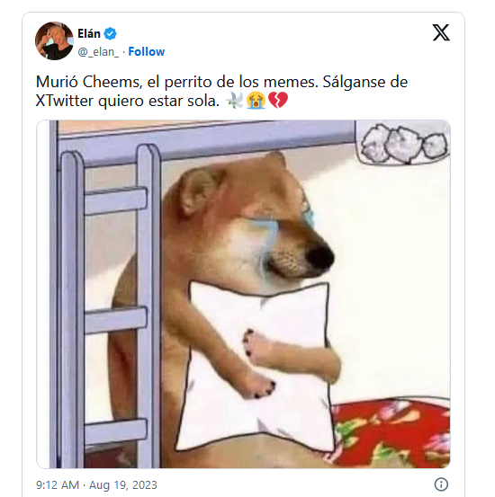 Murió Cheems y lo despiden con emotivos memes