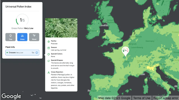 Google lanza nuevas herramientas para ayudar a las empresas y ciudades a mapear la información ambiental - 91ca25b3-038c-ebae-47da-24eedaaf85ab