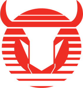 El logo de Toros Neza era genial