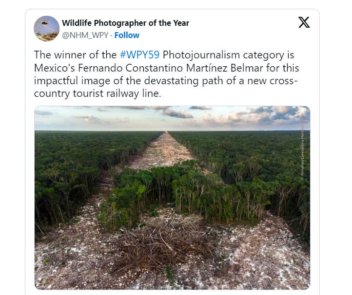 Foto de deforestación por el Tren Maya gana el concurso Wildlife Photographer of the Year