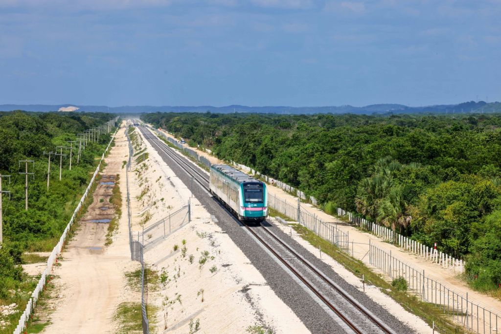 Foto de deforestación por el Tren Maya gana el concurso Wildlife Photographer of the Year