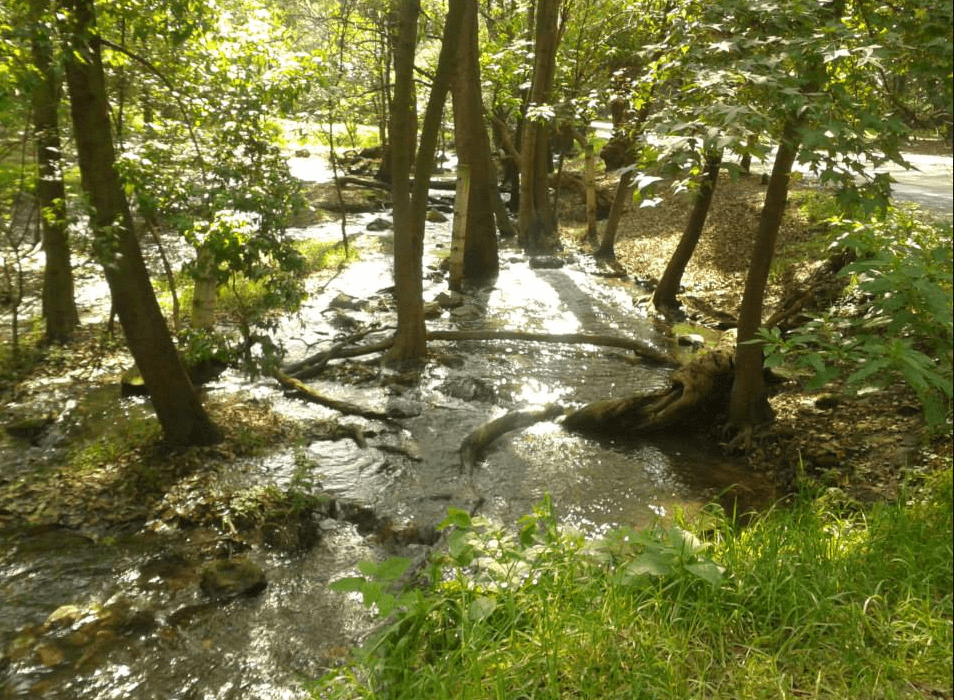 Una visita a los manantiales de las Fuentes Brotantes