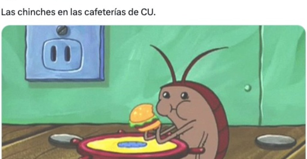 La UNAM, las chinches y los memes que están buenísimos