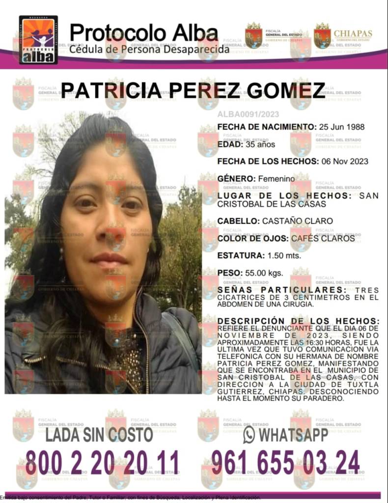 ficha de búsqueda patricia perez gomez