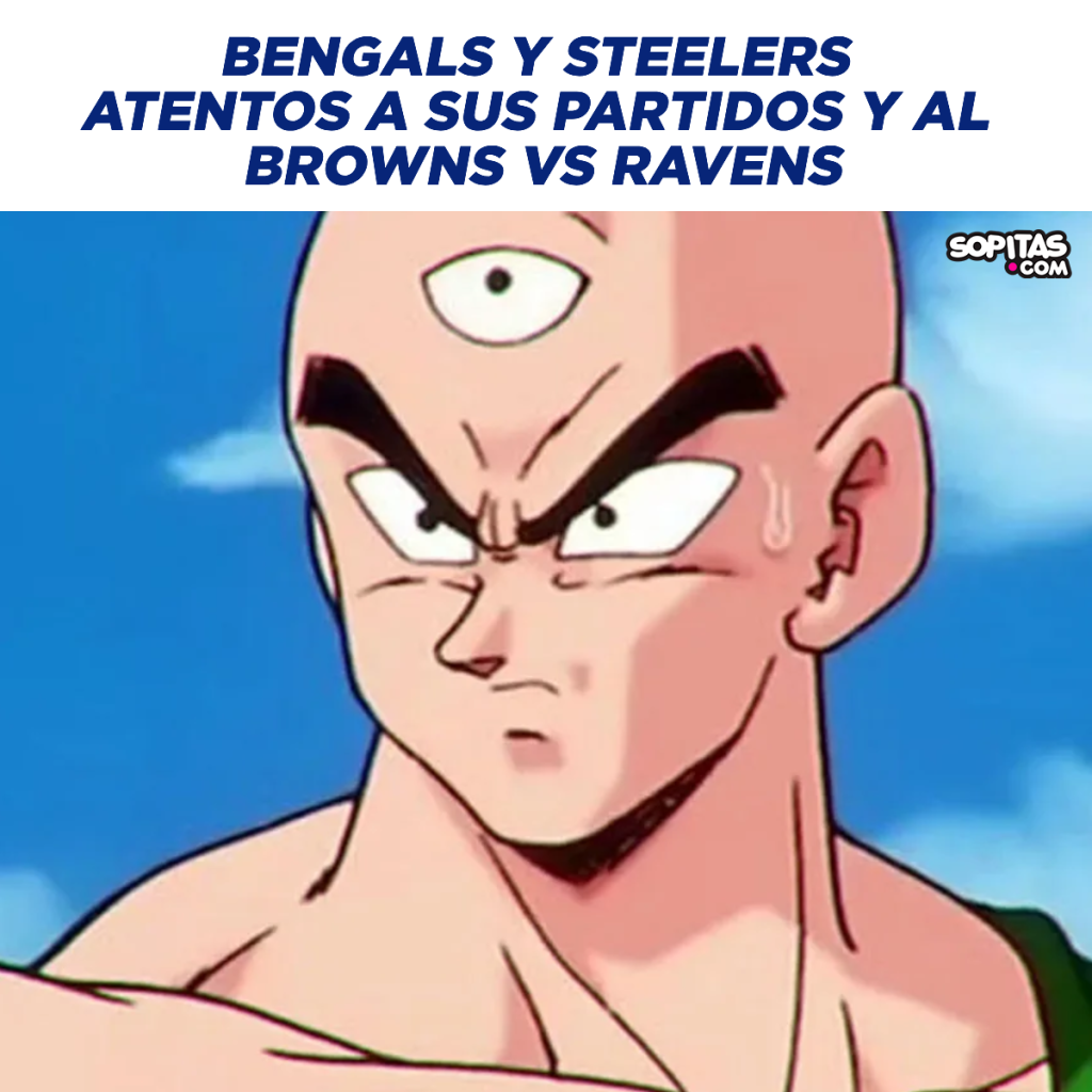 Así los fans de Bengals y Steelers, viendo el partido de sus respectivos equipos y el Browns vs Ravens