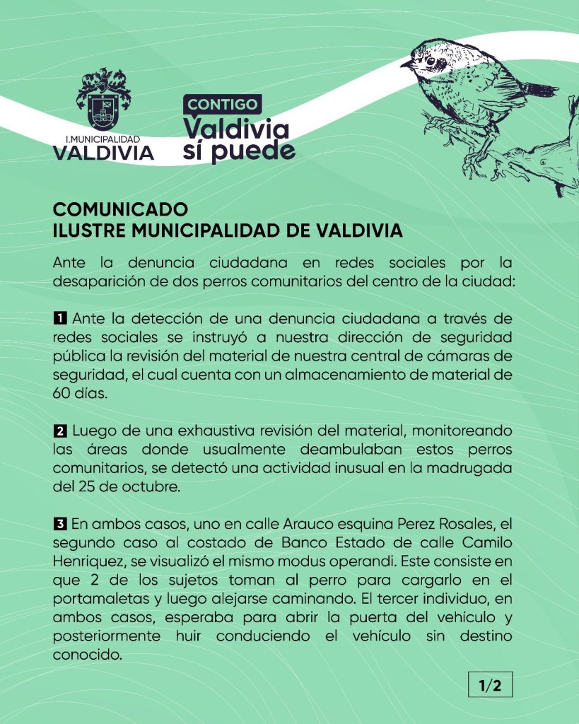 Viejito y Caballita: El caso de crueldad animal que ha causado enojo en Chile