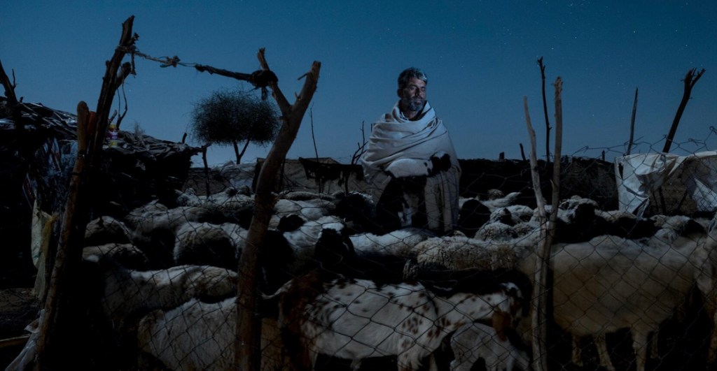 Pásenle a ver las mejores fotos de National Geographic en 2023