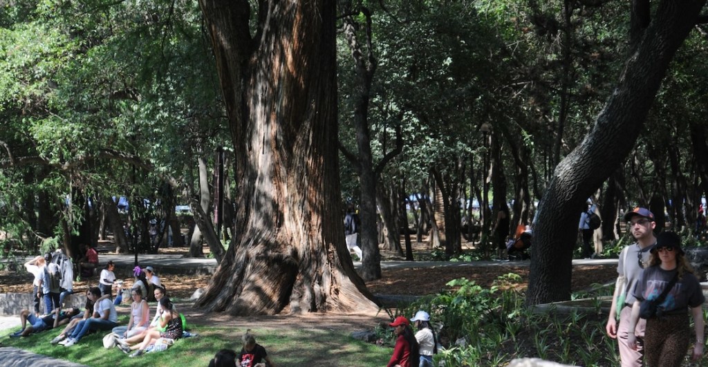 Un recorrido por las entrañas de la Línea 3 del Cablebús de Chapultepec