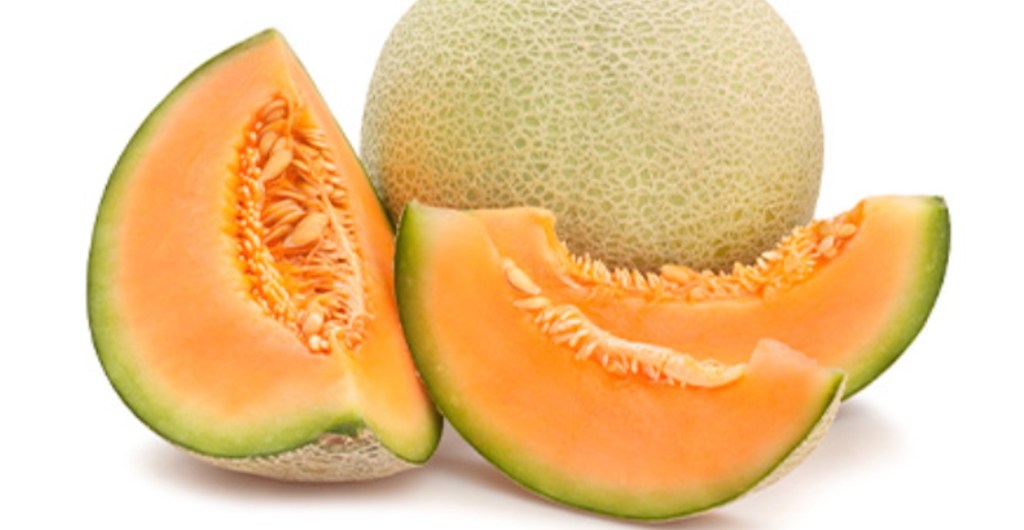 melones brote de salmonela