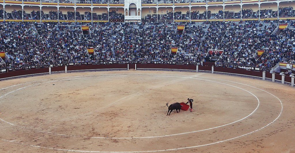 toros-fiesta-brava-españa