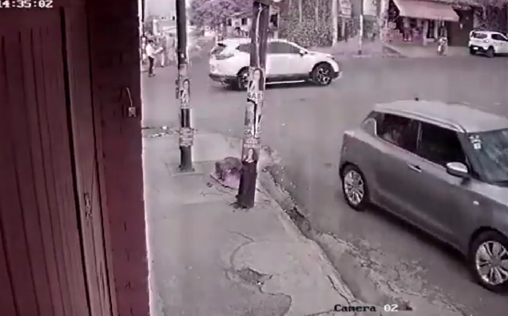 Mujer abandona perrito en calles de Tlalpan y queda grabada en video