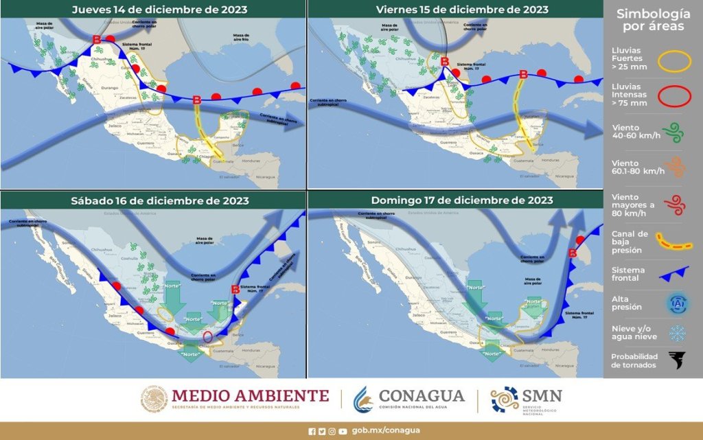 cristalización térmica pulmones 