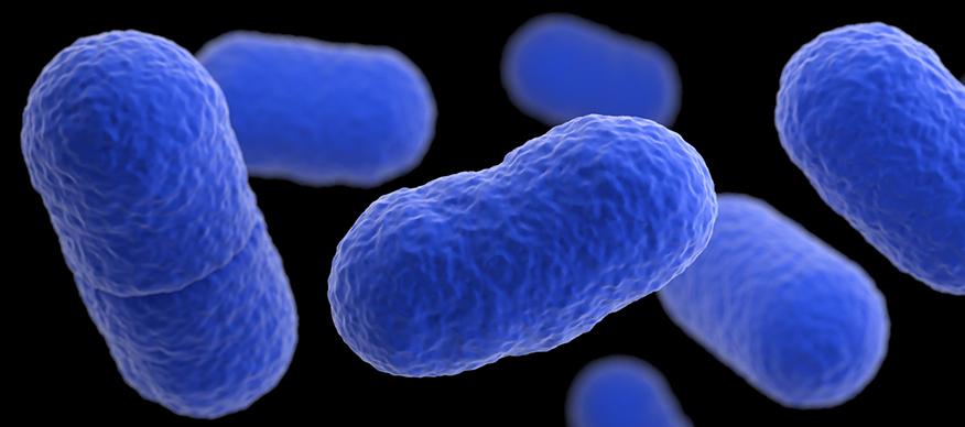 Alerta por una bacteria en melocotones, ciruelas y nectarinas provenientes de EUA