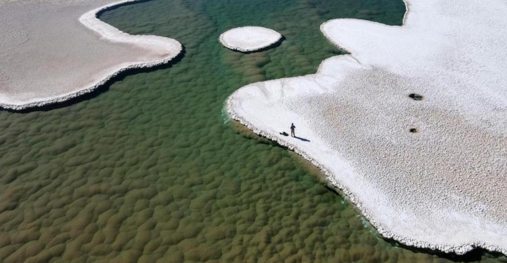 El extraño ecosistema que encontraron el desierto de Atacama.