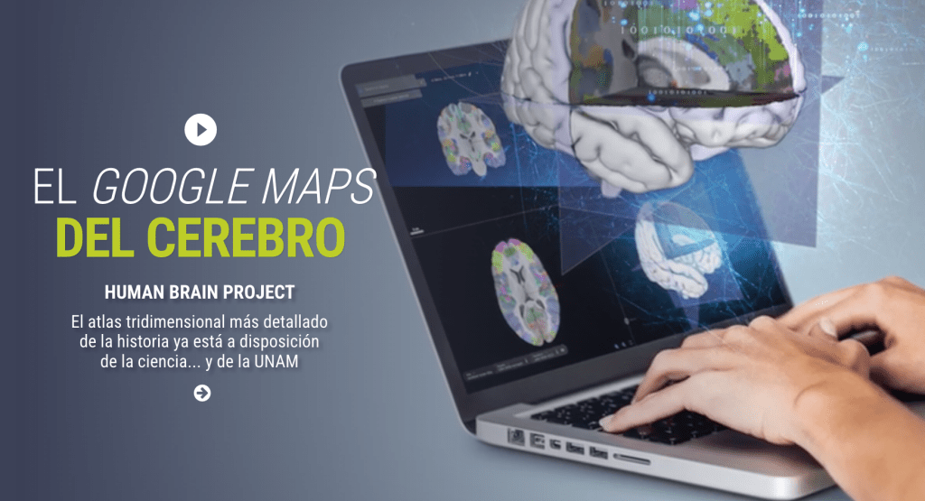 El Google Maps del cerebro