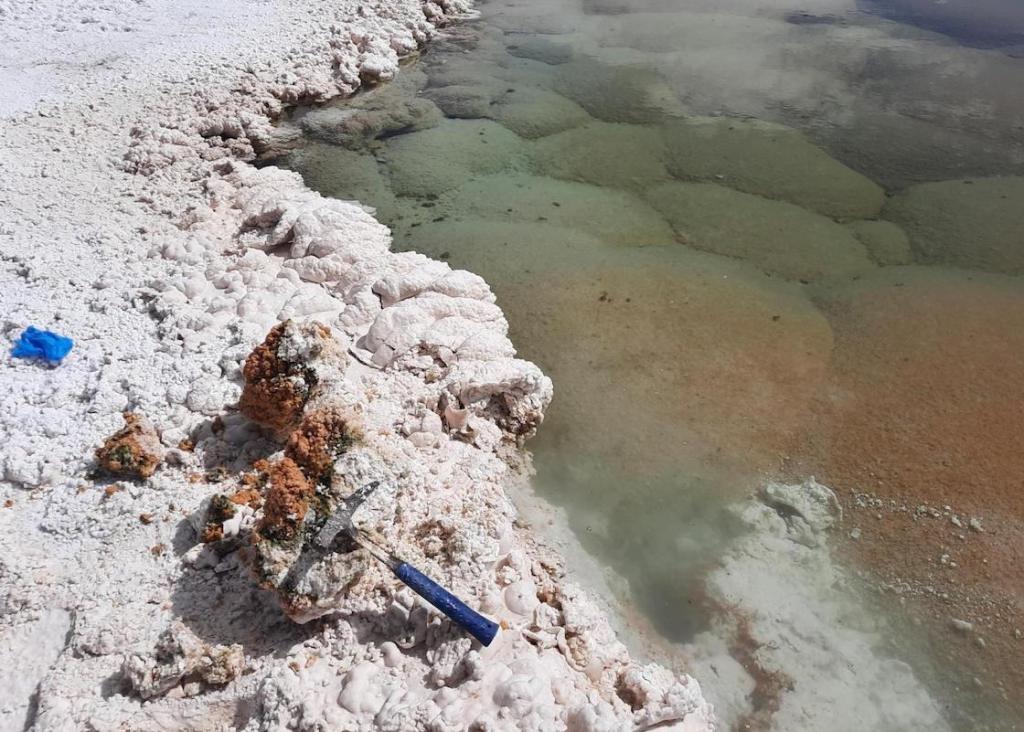 El extraño ecosistema que encontraron el desierto de Atacama.