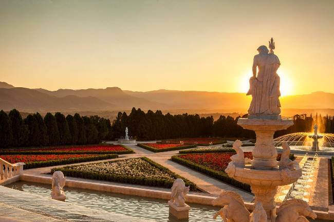 Se viene la primavera: Algunos campos de flores para visitar en México