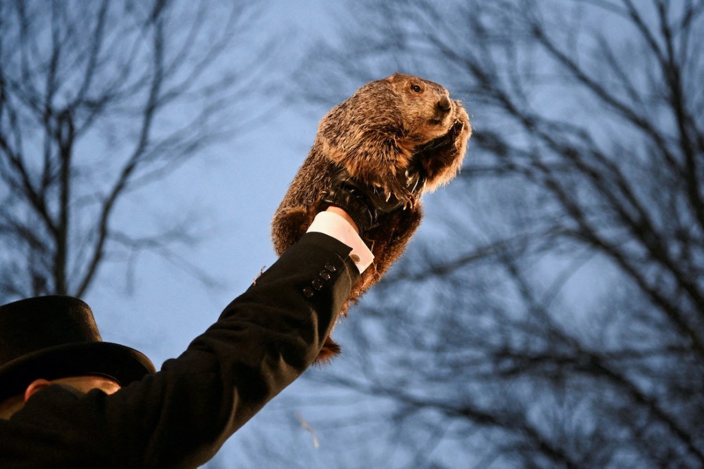 Día de la Marmota 2024.