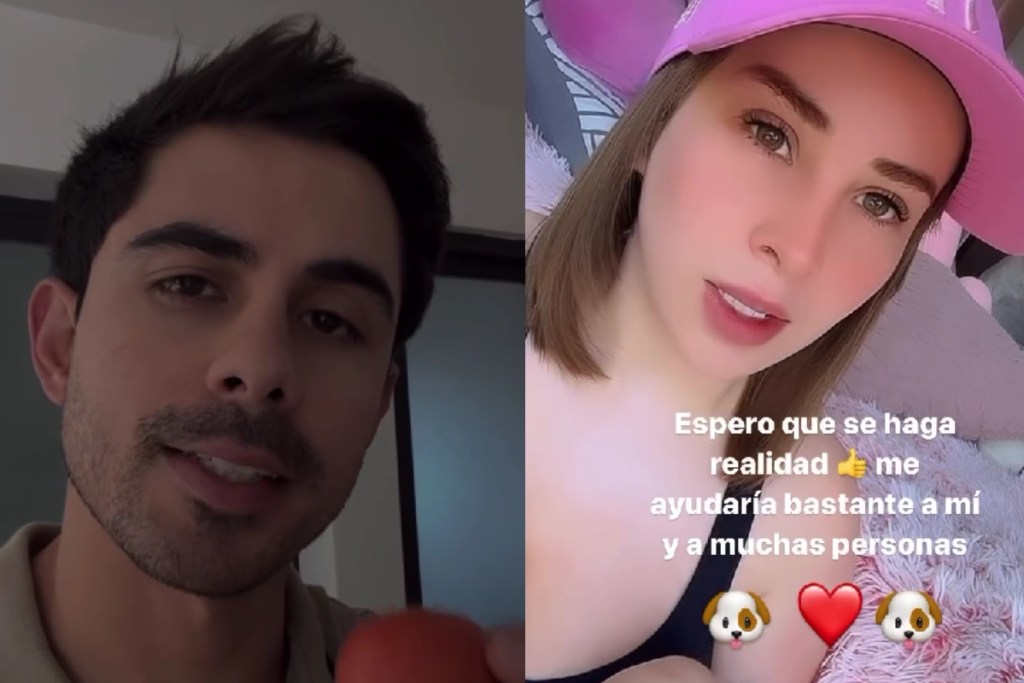 Las capturas de pantalla de historias de influencers sobre el Partido Verde