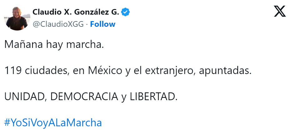 Motivos de la Marcha Por Nuestra Democracia en defensa del INE